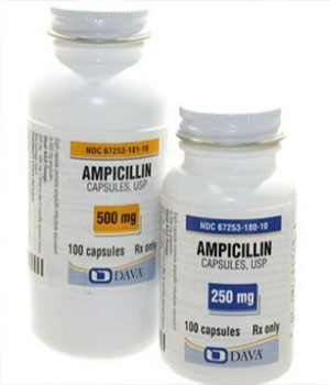 Ampicillin (Principen) 500mg